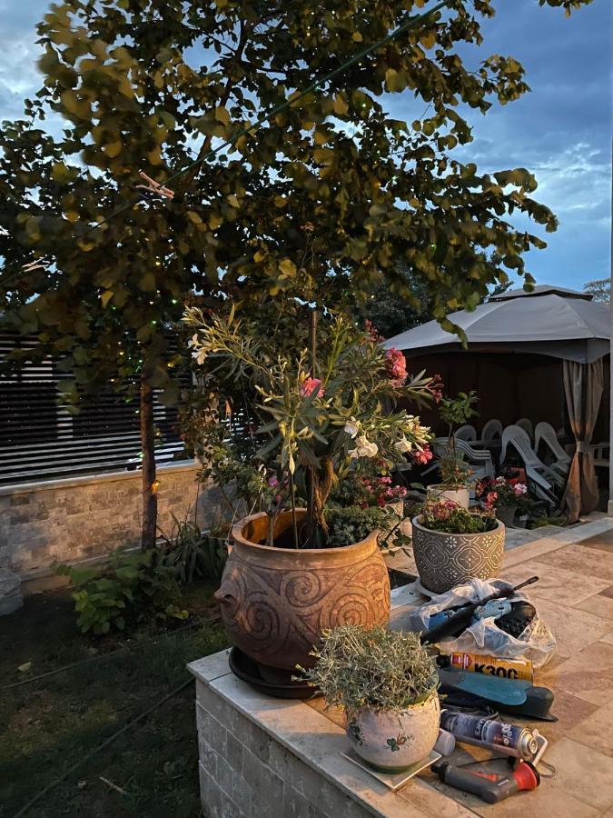 ホテル Casa Adriana エフォリエ・スド エクステリア 写真
